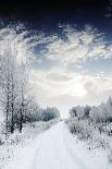 Winter Road and Forest-Elenamiv-Photographic Print