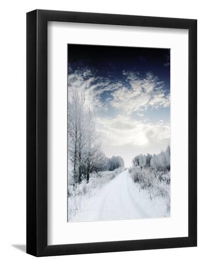 Premium Photographic Print, , large