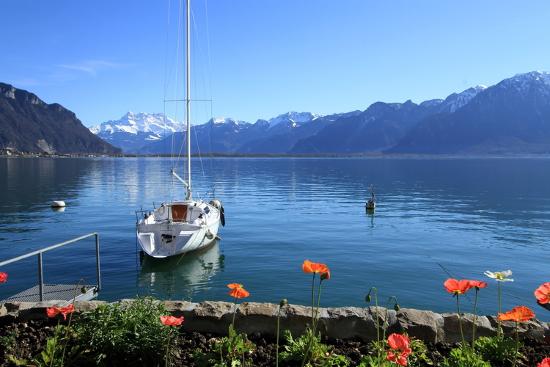 Premium Photographic Print, , large