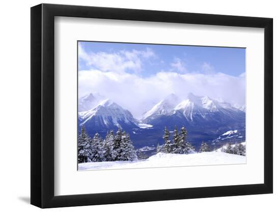Premium Photographic Print, , large