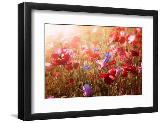 Premium Photographic Print, , large