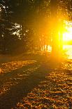 Two Wooden Chairs on Beach of Relaxing Lake at Sunset. Algonquin Provincial Park, Canada.-elenathewise-Photographic Print