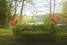 Green Sofa And Flamingos-Eleni Tzima-Photographic Print