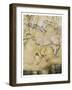 Eleonora in the Valley of the Many Coloured Grass-Arthur Rackham-Framed Art Print