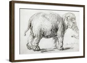 Elephant, 1637, Black Chalk Drawing-Rembrandt van Rijn-Framed Giclee Print