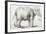 Elephant, 1637, Black Chalk Drawing-Rembrandt van Rijn-Framed Giclee Print