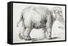 Elephant, 1637, Black Chalk Drawing-Rembrandt van Rijn-Framed Stretched Canvas