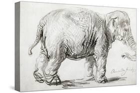 Elephant, 1637, Black Chalk Drawing-Rembrandt van Rijn-Stretched Canvas
