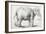 Elephant, 1637, Black Chalk Drawing-Rembrandt van Rijn-Framed Giclee Print