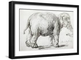 Elephant, 1637, Black Chalk Drawing-Rembrandt van Rijn-Framed Giclee Print