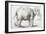 Elephant, 1637, Black Chalk Drawing-Rembrandt van Rijn-Framed Giclee Print