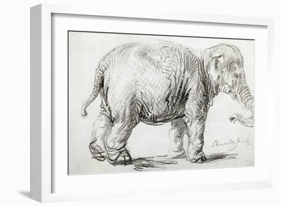 Elephant, 1637, Black Chalk Drawing-Rembrandt van Rijn-Framed Giclee Print