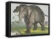 Elephant, 1829-80-Jos. Scholz-Framed Stretched Canvas