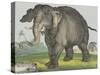 Elephant, 1829-80-Jos. Scholz-Stretched Canvas
