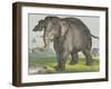 Elephant, 1829-80-Jos. Scholz-Framed Art Print