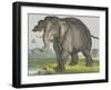 Elephant, 1829-80-Jos. Scholz-Framed Art Print