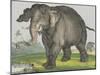 Elephant, 1829-80-Jos. Scholz-Mounted Art Print