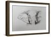 Elephant, 2011-Ele Grafton-Framed Giclee Print