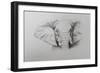 Elephant, 2011-Ele Grafton-Framed Giclee Print