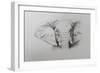 Elephant, 2011-Ele Grafton-Framed Giclee Print