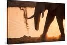 Stretched Canvas