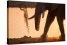 Stretched Canvas