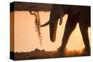 Stretched Canvas