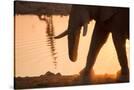 Stretched Canvas