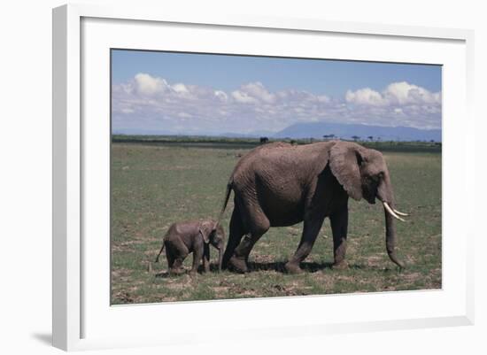 Elephant Adult and Baby-DLILLC-Framed Photographic Print