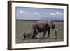 Elephant Adult and Baby-DLILLC-Framed Photographic Print