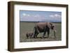 Elephant Adult and Baby-DLILLC-Framed Photographic Print