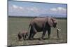 Elephant Adult and Baby-DLILLC-Mounted Photographic Print