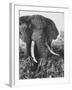 Elephant After Dirt Bath on the Plains-Eliot Elisofon-Framed Photographic Print