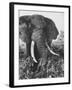 Elephant After Dirt Bath on the Plains-Eliot Elisofon-Framed Photographic Print