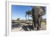 Elephant along Botete River, Botswana-Paul Souders-Framed Photographic Print