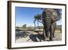 Elephant along Botete River, Botswana-Paul Souders-Framed Photographic Print