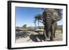 Elephant along Botete River, Botswana-Paul Souders-Framed Photographic Print