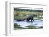 Elephant and Baby Crossing Okavango Delta River Botswana, Africa-Sheila Haddad-Framed Photographic Print