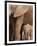 Elephant and Baby (Loxodonta Africana), Addo Elephant National Park, Eastern Cape, South Africa-Ann & Steve Toon-Framed Photographic Print