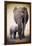 Elephant and Baby-null-Framed Poster