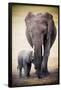 Elephant and Baby-null-Framed Poster