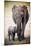 Elephant and Baby-null-Mounted Poster