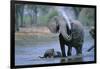 Elephant and Calf Cooling Off in River-Paul Souders-Framed Photographic Print