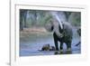 Elephant and Calf Cooling Off in River-Paul Souders-Framed Photographic Print