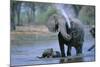 Elephant and Calf Cooling Off in River-Paul Souders-Mounted Photographic Print