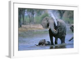 Elephant and Calf Cooling Off in River-Paul Souders-Framed Photographic Print