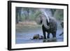 Elephant and Calf Cooling Off in River-Paul Souders-Framed Photographic Print