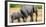 Elephant and calf, Hwange National Park, Zimbabwe, Africa-Karen Deakin-Framed Photographic Print