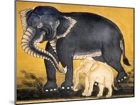 Elephant and Calf, Page from a Manuscript on Elephant Training-null-Mounted Giclee Print