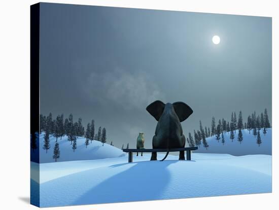 Elephant and Dog at Christmas Night-Mike_Kiev-Stretched Canvas